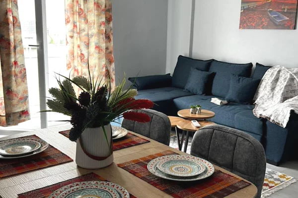 Shtepi me qera 1+1 ne Tirane - 50,000 Leke
