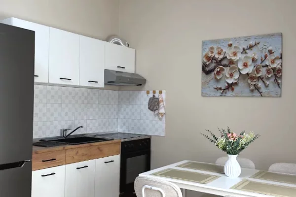 Apartment for rent in Tirana 1+1, Furnished