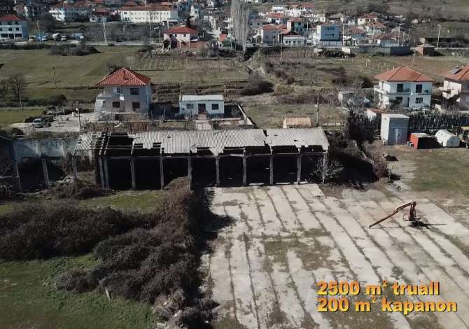 Jepet Toke me qera ne Pogradec afer liqenit