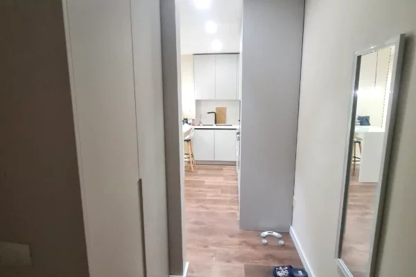 Apartment for rent in Tirana 1+1, Furnished