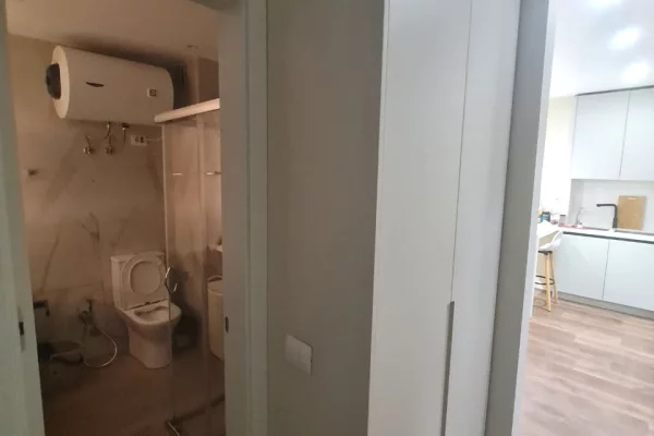 Apartment for rent in Tirana 1+1, Furnished