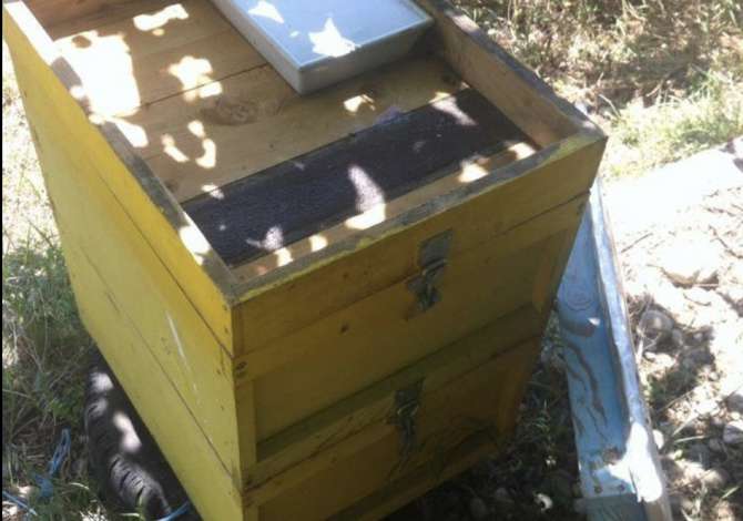 Attivita commerciale in vendita a Argirocastro - 20,000 Leke