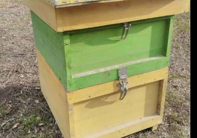 Attivita commerciale in vendita a Argirocastro - 20,000 Leke