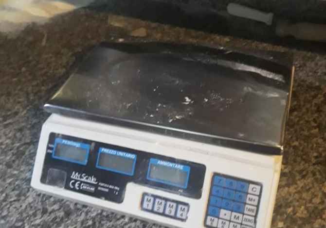 Shiten te gjitha paisjet e picerise