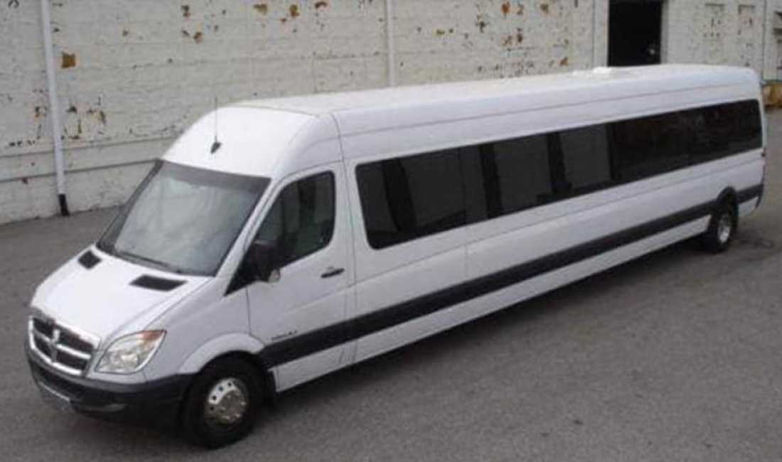 Pjese kembimi per Sprinter/Kamioncina