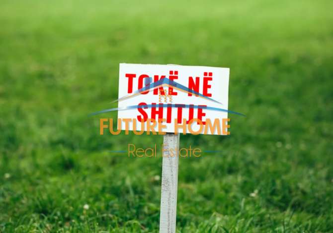 Shitet, Toke, Berxulle. (PRO+24614)