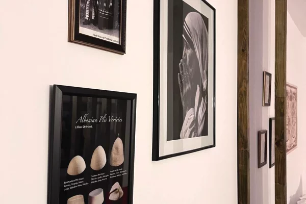 Shtepi me qera Apartament ne Tirane, Garsoniere, Mobilimi E mobiluar, Pagesa 420  Euro.