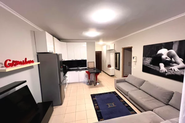 Shtepi me qera Apartament ne Tirane, 1+1, Mobilimi E mobiluar, Pagesa 770  Euro.