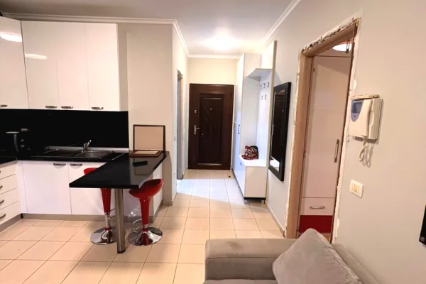 Shtepi me qera Apartament ne Tirane, 1+1, Mobilimi E mobiluar, Pagesa 770  Euro.