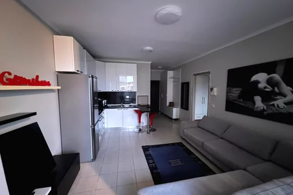 Shtepi me qera Apartament ne Tirane, 1+1, Mobilimi E mobiluar, Pagesa 770  Euro.