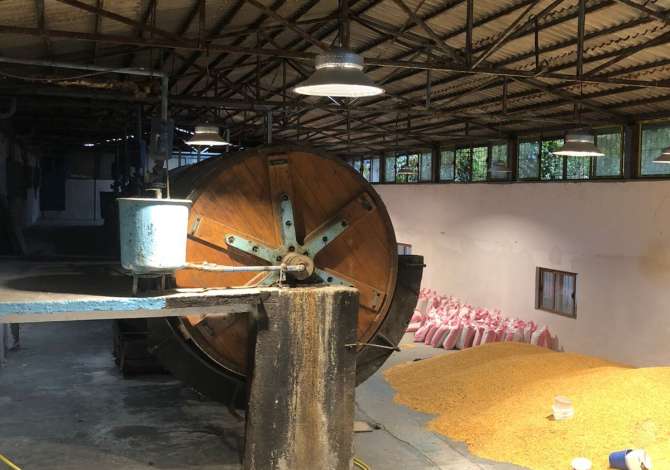 Business Property for Rent 4+1 in Tirana - 1,000 Euro