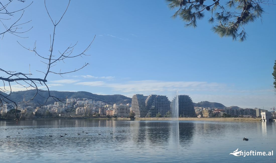 Shtepi ne shitje Apartament ne Tirane, 1+1, Mobilimi E mobiluar, Pagesa 141,000  Euro.