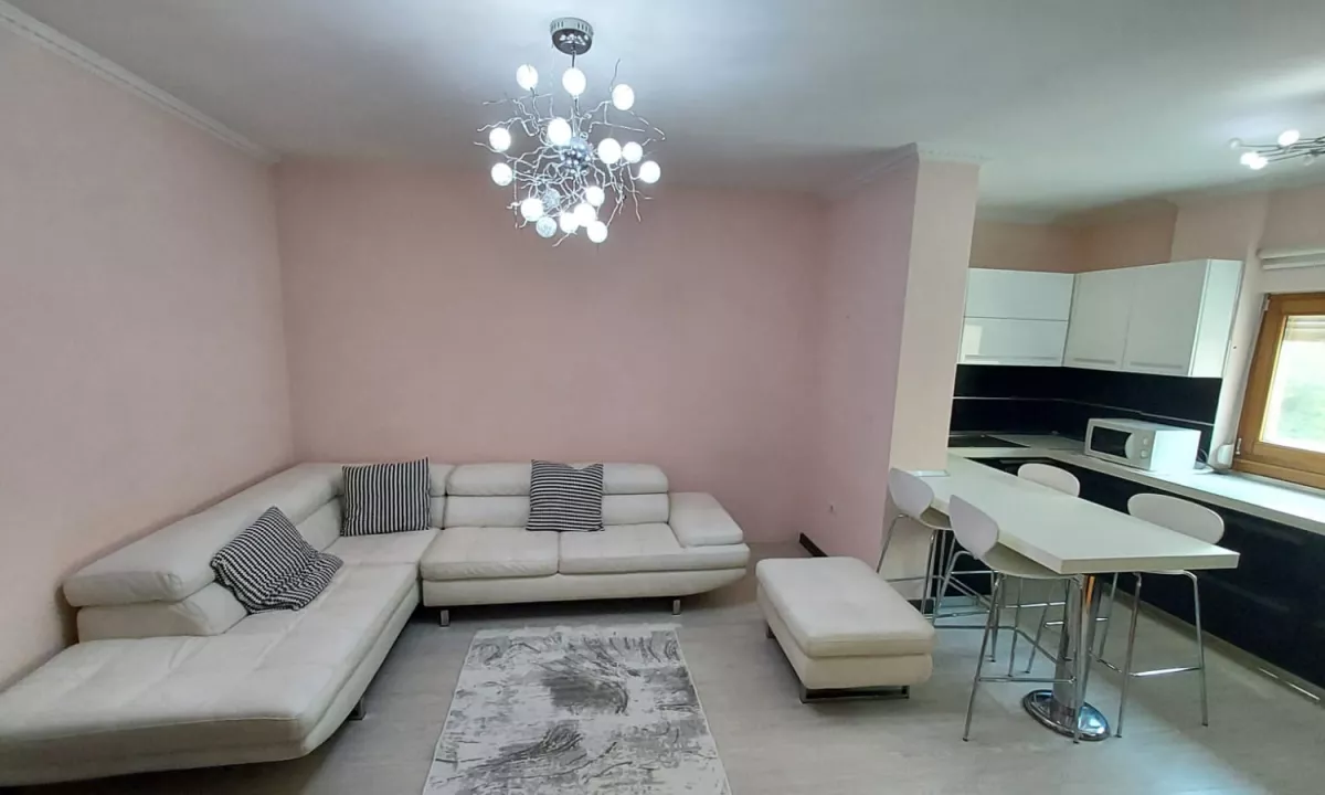 Shtepi ne shitje Apartament ne Tirane, 1+1, Mobilimi E mobiluar, Pagesa 140,000  Euro.