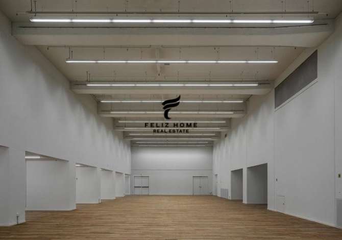 Ambient biznesi me qera 4+1 ne Tirane - 90,000 Euro