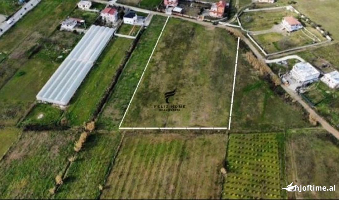 SHITET TRUALL 7000 M2 YZBERISHT 735.000 EURO