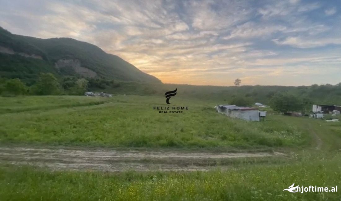 SHITET TOKE ARE 19000 M2 VISHAJ 650.000 EURO