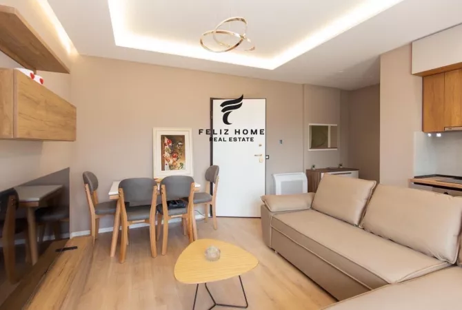 Shtepi me qera Apartament ne Tirane, 1+1, Mobilimi E mobiluar, Pagesa 650  Euro.