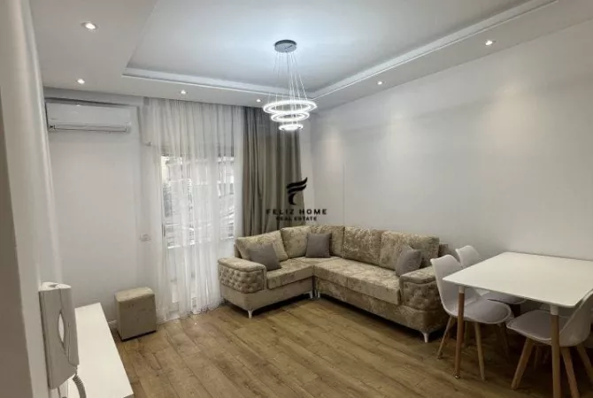 Shtepi ne shitje Apartament ne Tirane, 1+1, Mobilimi E mobiluar, Pagesa 145,000  Euro.