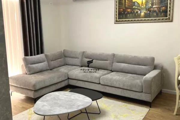 Shtepi me qera Apartament ne Tirane, 2+1, Mobilimi E mobiluar, Pagesa 800  Euro.