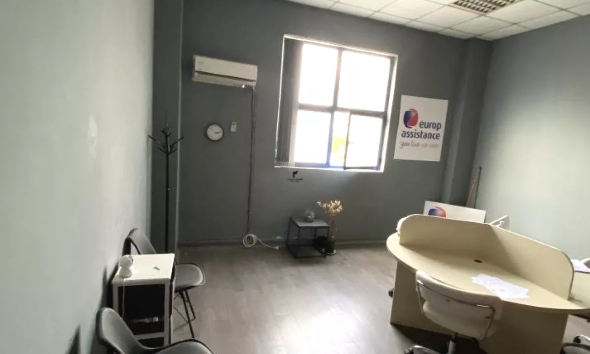 SHITET ZYRE 30 M2 SHESHI WILLSON 180.000 EURO