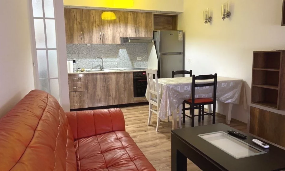 Shtepi me qera Apartament ne Tirane, 1+1, Mobilimi E mobiluar, Pagesa 520  Euro.