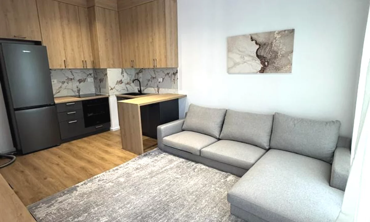 Shtepi me qera Apartament ne Tirane, 1+1, Mobilimi E mobiluar, Pagesa 520  Euro.