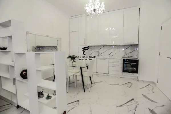 Shtepi ne shitje Apartament ne Tirane, 1+1, Mobilimi E mobiluar, Pagesa 225,000  Euro.