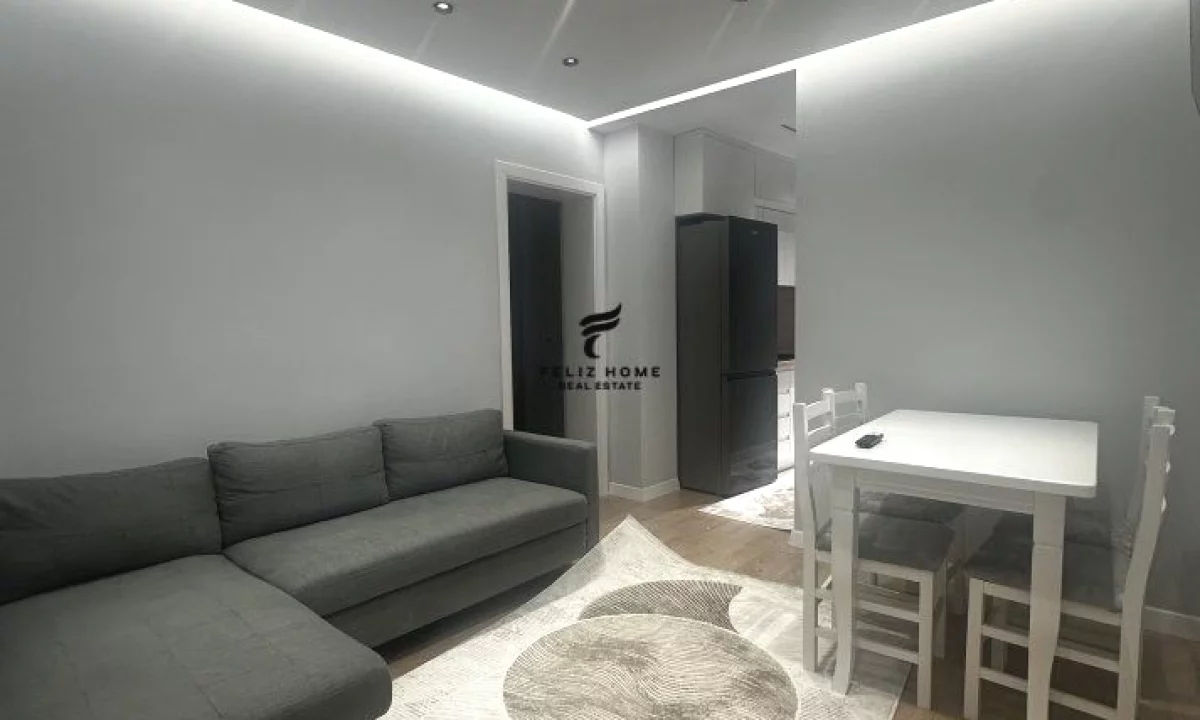 Shtepi me qera Apartament ne Tirane, 1+1, Mobilimi E mobiluar, Pagesa 520  Euro.