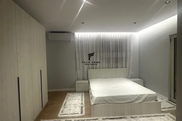 Shtepi me qera Apartament ne Tirane, 1+1, Mobilimi E mobiluar, Pagesa 520  Euro.