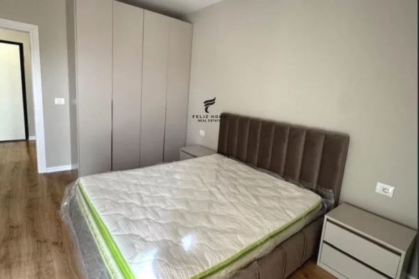 Shtepi me qera Apartament ne Tirane, 1+1, Mobilimi E mobiluar, Pagesa 600  Euro.
