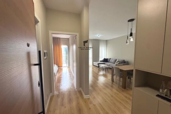 Shtepi me qera Apartament ne Tirane, 1+1, Mobilimi E mobiluar, Pagesa 600  Euro.