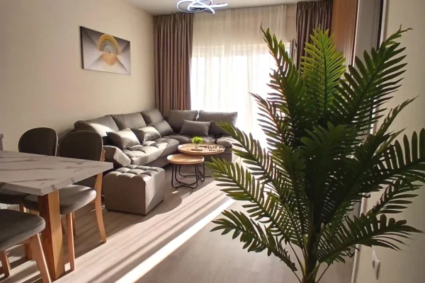 Shtepi me qera Apartament ne Tirane, 2+1, Mobilimi E mobiluar, Pagesa 1,000  Euro.