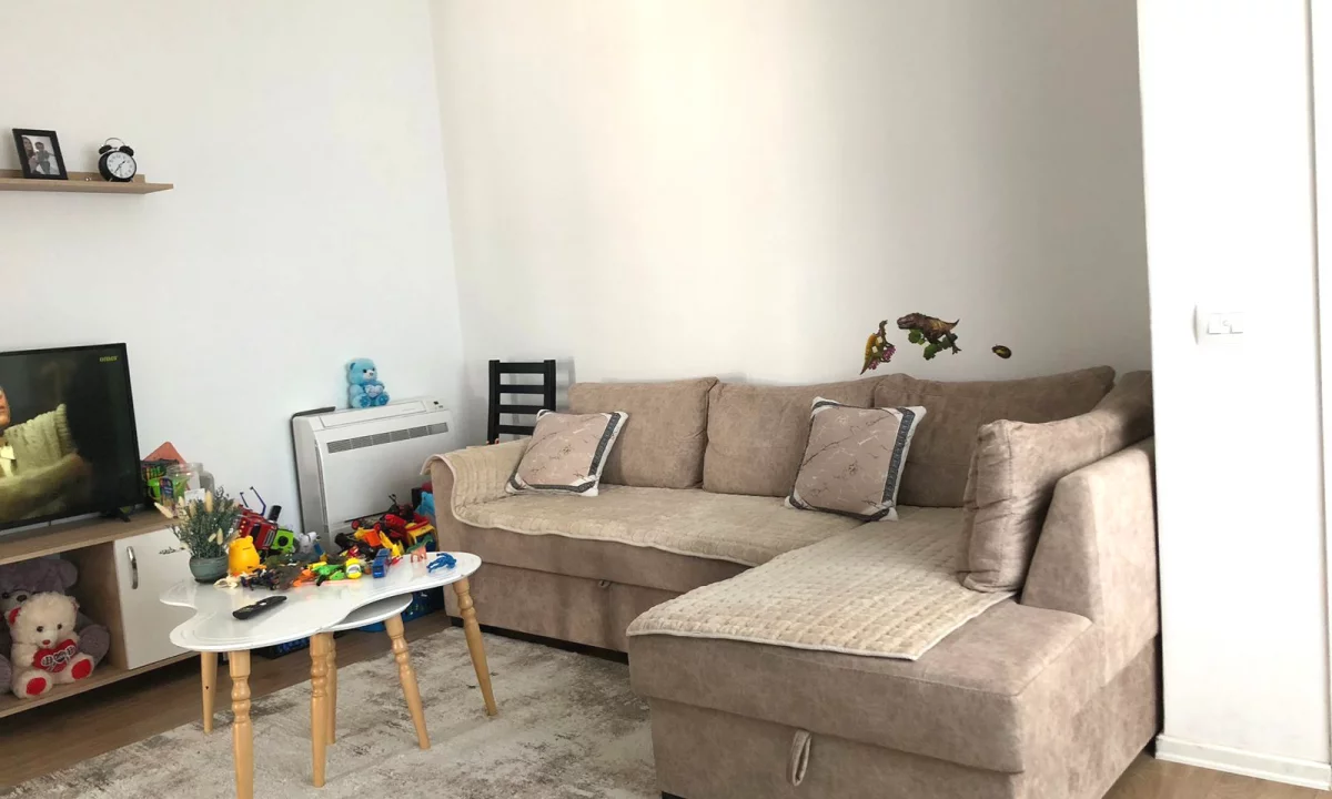 Shtepi ne shitje Apartament ne Tirane, 1+1, Mobilimi E mobiluar, Pagesa 106,000  Euro.