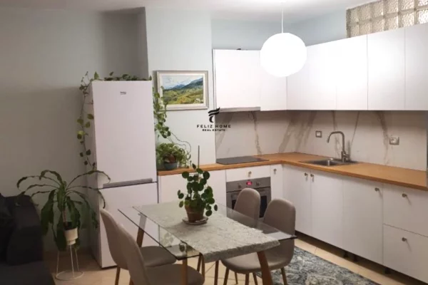 Shtepi me qera Apartament ne Tirane, 2+1, Mobilimi E mobiluar, Pagesa 55,000  Leke.