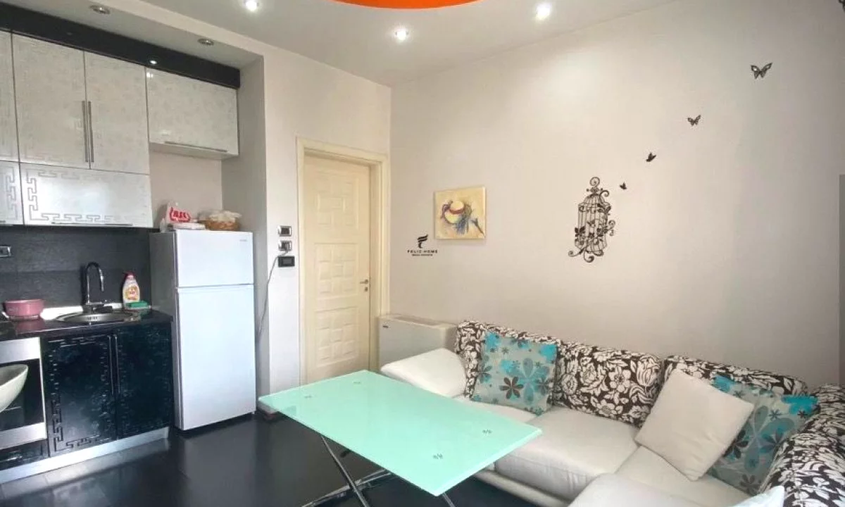 Shtepi me qera Apartament ne Tirane, 1+1, Mobilimi E mobiluar, Pagesa 500  Euro.