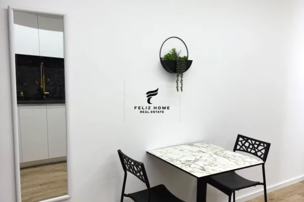 Shtepi me qera Apartament ne Tirane, Garsoniere, Mobilimi E mobiluar, Pagesa 55,000  Leke.