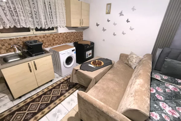Shtepi me qera Apartament ne Tirane, Garsoniere, Mobilimi E mobiluar, Pagesa 300  Euro.