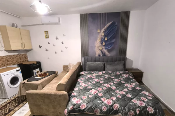 Shtepi me qera Apartament ne Tirane, Garsoniere, Mobilimi E mobiluar, Pagesa 300  Euro.