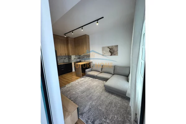 Apartment for rent in Tirana 1+1, Emty