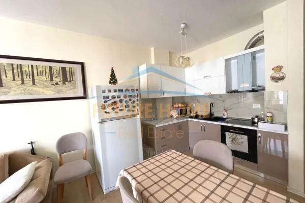 Shtepi ne shitje Apartament ne Tirane, 1+1, Mobilimi E mobiluar, Pagesa 154,000  Euro.