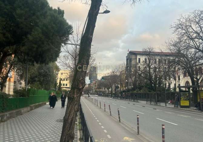 Ambient biznesi me qera 1+1 ne Tirane - 450 Euro