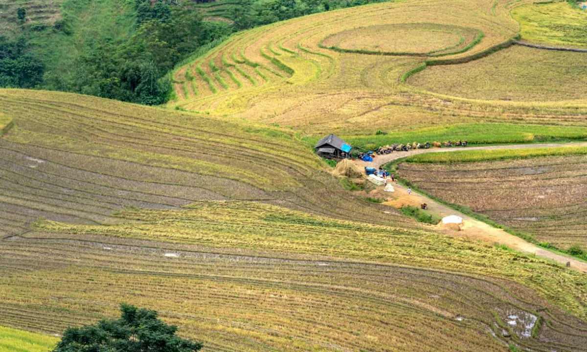 Shitet Toke ne  Baldushk 180.000 euro