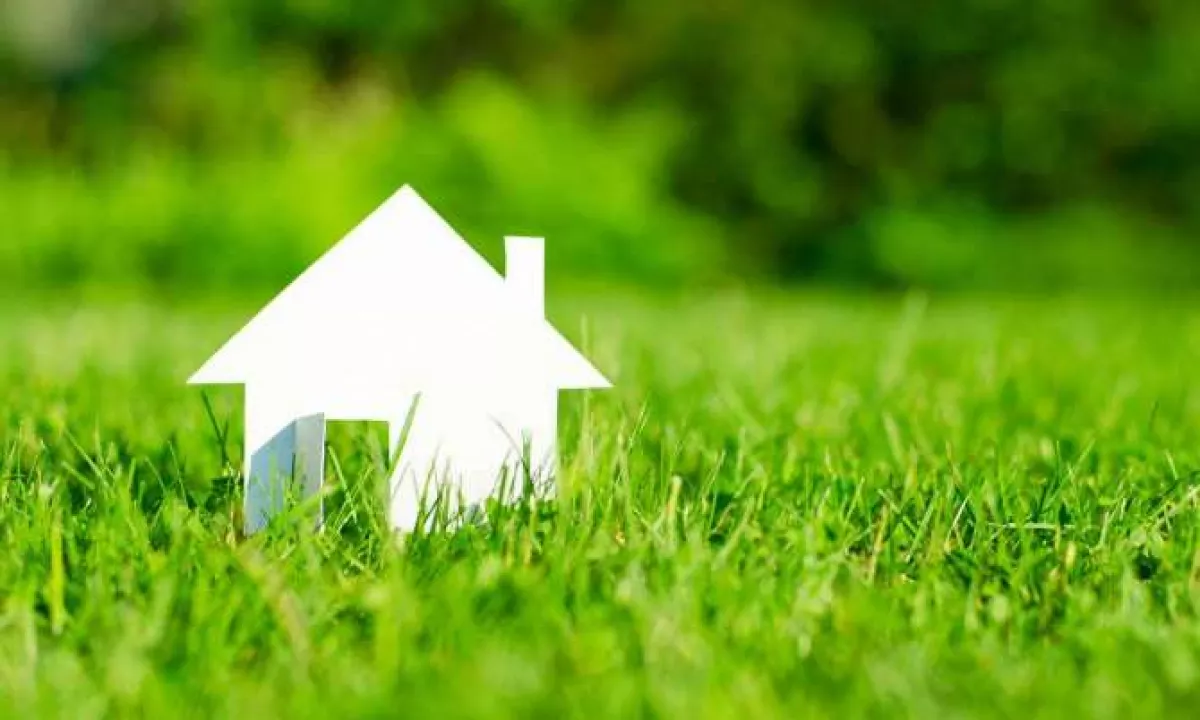 SHITET TOKE NE FARKE 8.906 M2