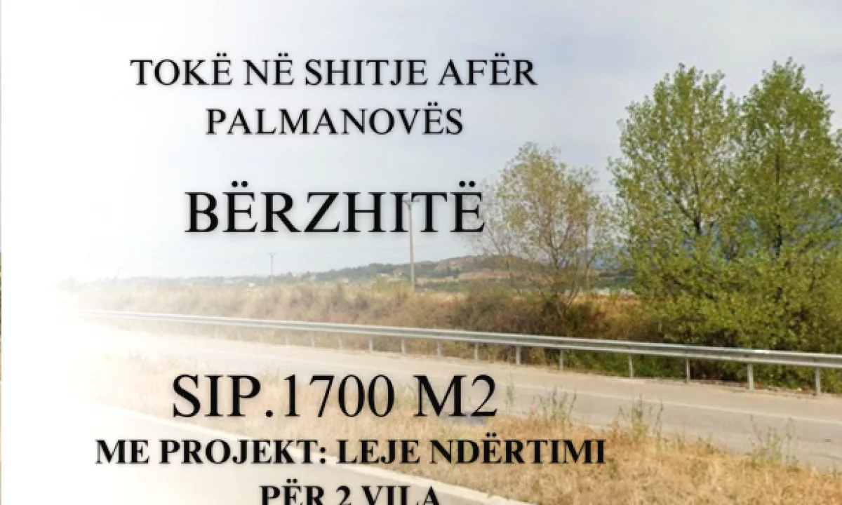 Shitet Toke ne Berzhite 📍Afer Palmanoves
