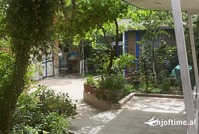 Ambiente Commerciale in Affitto 3+1 a Tirana - 3,000 Euro