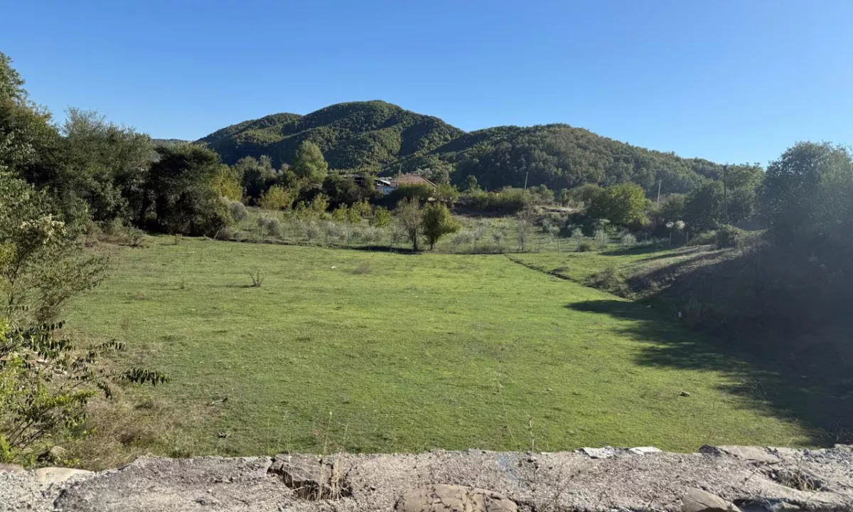 Shitet toke me Certifikat Pronesie ne Arbane .