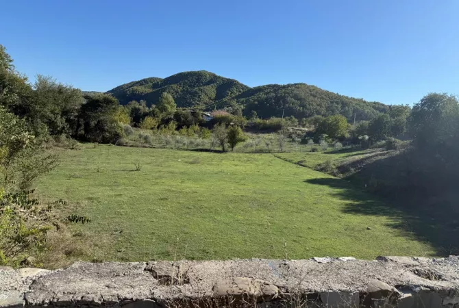 Shitet toke me Çertifikat Pronësie në Arbanë .