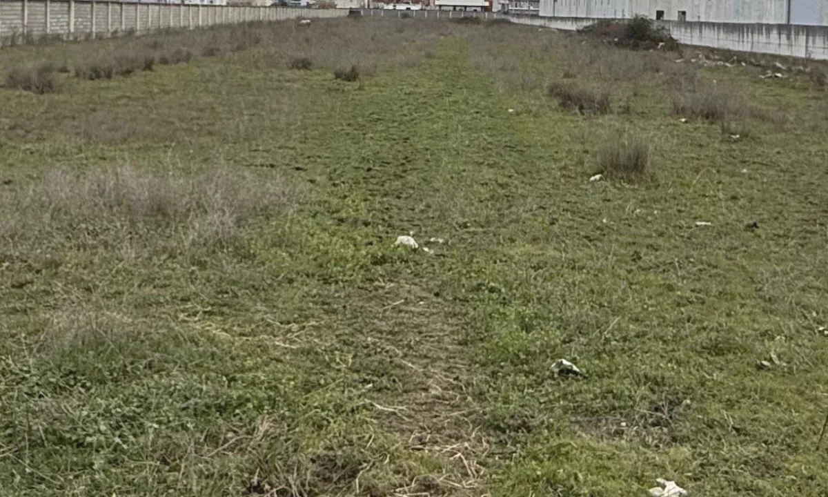 Shitet Toke me Certifikate Pronesie ne Autostraden Tirane–Durres