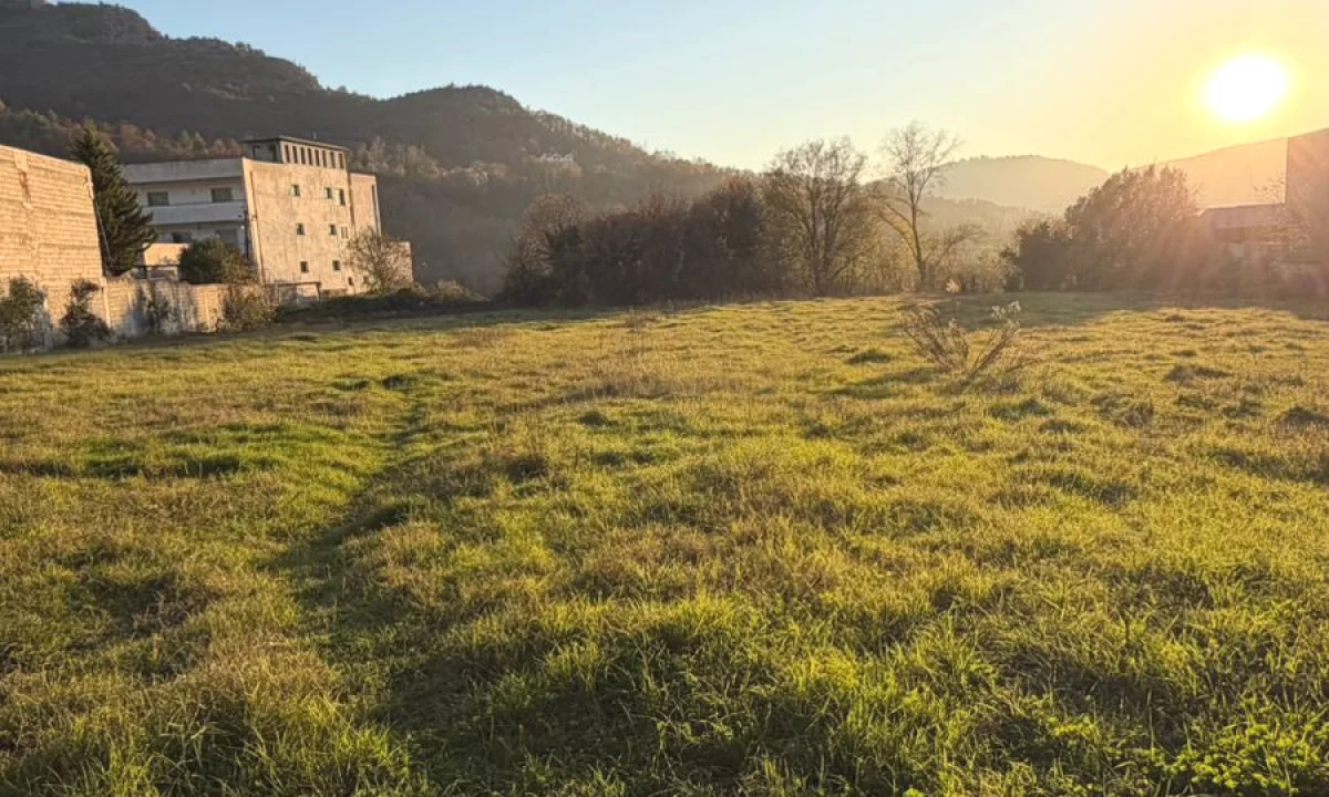 Shitet Toke me Certifikate Pronesie ne Mullet