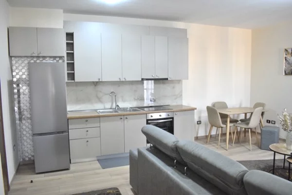 Shtepi me qera Apartament ne Tirane, 1+1, Mobilimi E mobiluar, Pagesa 60,000  Leke.